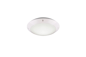 Camaro lampa sufitowa zewnętrzna IP44  CAMARO R60501031