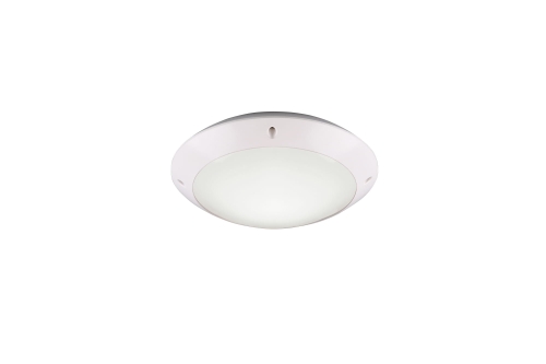 R60501031.jpg