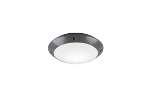 Lampa sufitowa zewnętrzna IP44  CAMARO R60501042