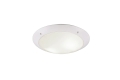 R60502031.jpg