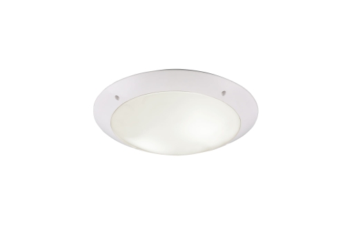R60502031.jpg