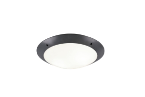 Lampa sufitowa zewnętrzna IP54  CAMARO R60502042
