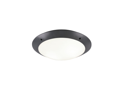 R60502042.jpg