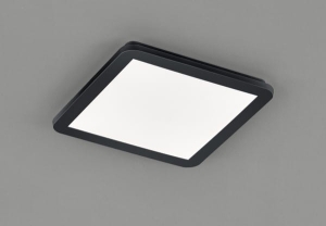 Lampa plafon CAMILLUS IP44 R62931832