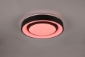 R65041032_1.jpg