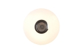 R69031101_8.jpg