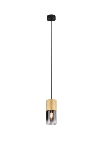 LAMPA WISZĄCA ROBIN 310600154