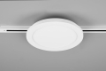 76921531_5.jpg
