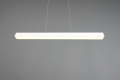 73043131_3.jpg