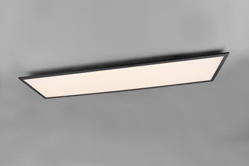 r62321232.jpg