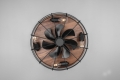R61105032_3.jpg