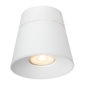 09935-01-31%20det1.jpg