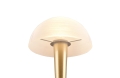 r59561108_1.jpg