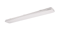 r64141401_2.jpg