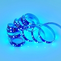 r65553102_3.jpg