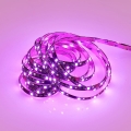r65575102_5.jpg
