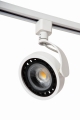 09954-01-31%20off.jpg