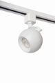 09953-01-31%20off.jpg