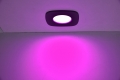 8304301012_06.jpg
