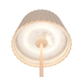 R57706166_2.jpg