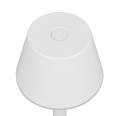 R54991131_1.jpg