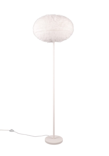 r41581001.jpg