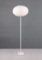 R41581001_9.jpg