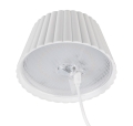 R47706131_3.jpg