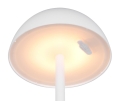R54106131_1.jpg