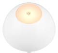R54106131_2.jpg