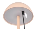 R54106166_4.jpg