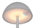 R54106177_1.jpg