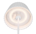 R57706131_1.jpg