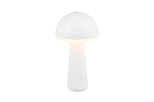 LAMPA STOŁOWA IP44 FUNGO R57716131