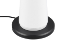 R57716131_4.jpg