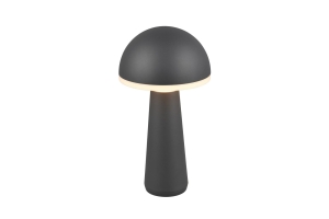 LAMPA STOŁOWA IP44 FUNGO R57716142