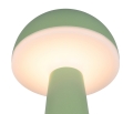 R57716149_1.jpg