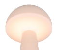 R57716166_1.jpg