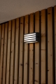 5203501118_1.jpg