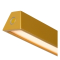 44701-03-44%20det3.jpg