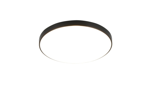 r67851102.jpg