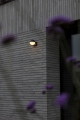 5138002118_06.jpg