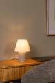 06527-01-38%20sf1.jpg