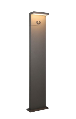 453569142.jpg