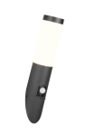 LAMPA KINKIET TRIOTO 209769132