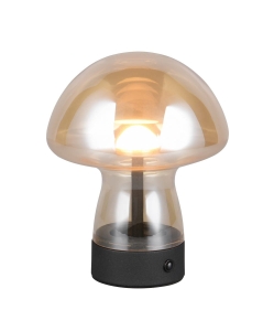 LAMPA STOŁOWA DOOLEY R54981113