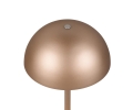 R54891165_2.jpg