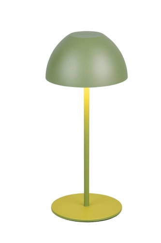 r55601115.jpg