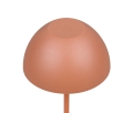 R55601140_1.jpg