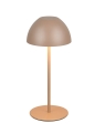 r55601165.jpg